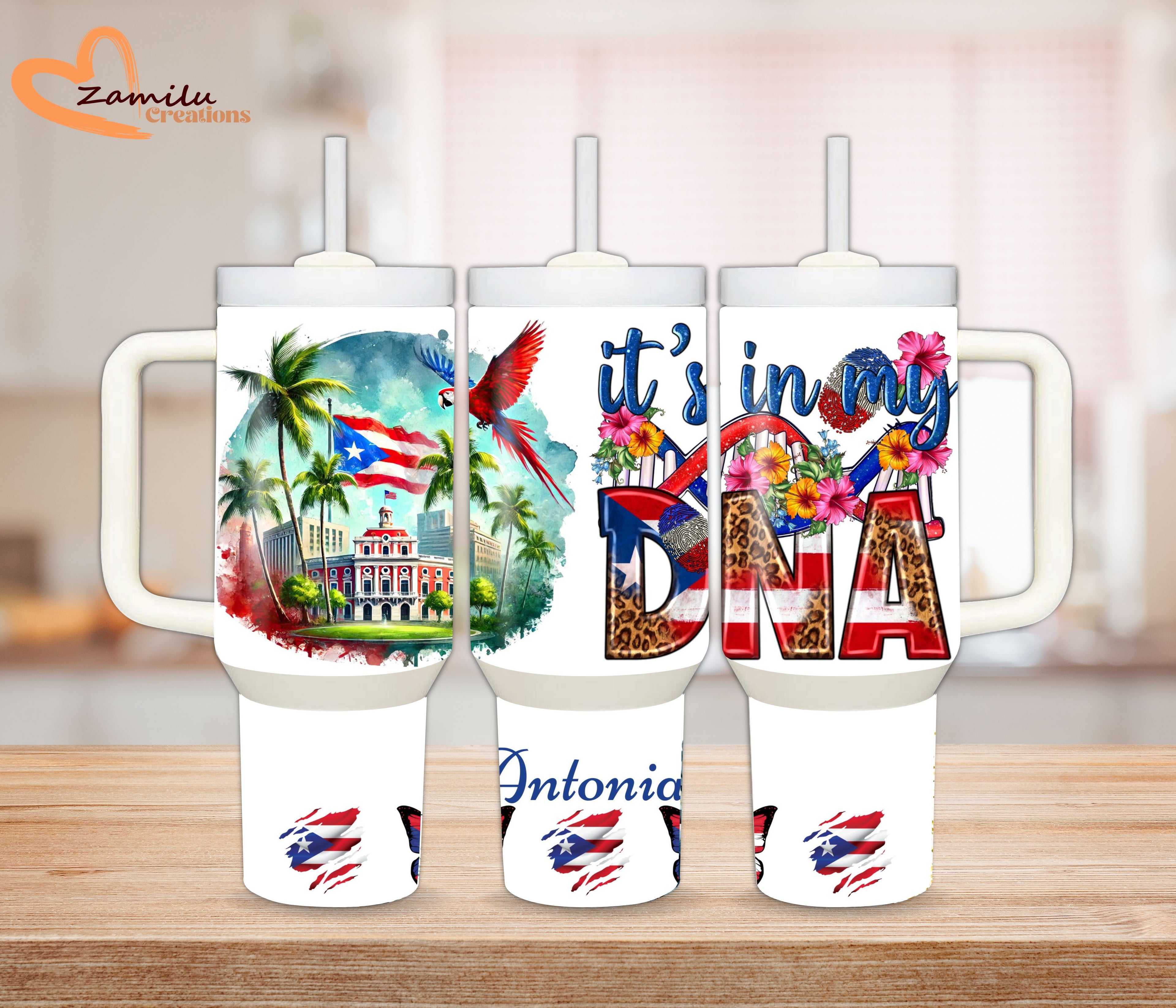30Oz - 40 oz personalized tumbler with handle, Puerto Rico